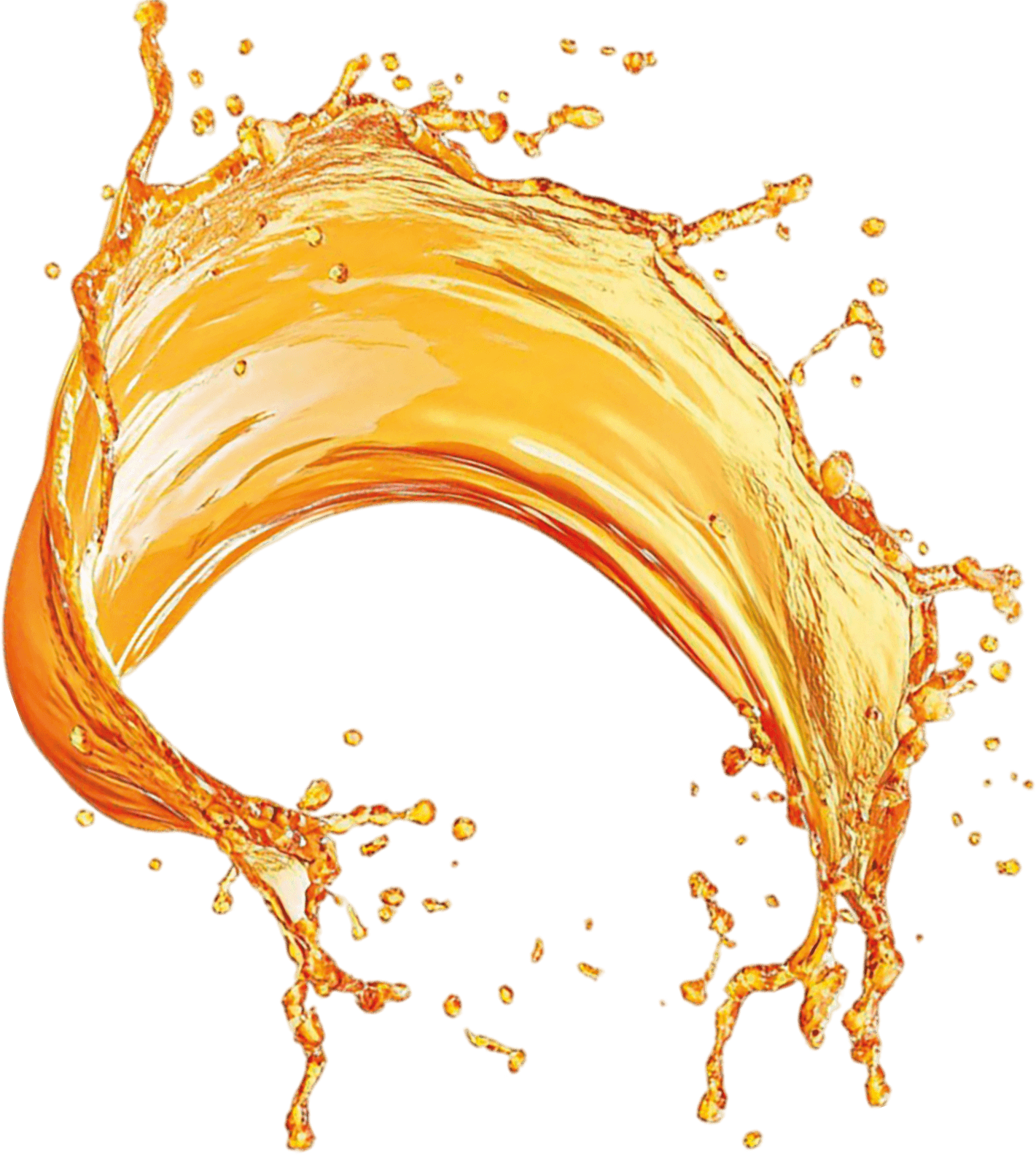 Introduction section decor image